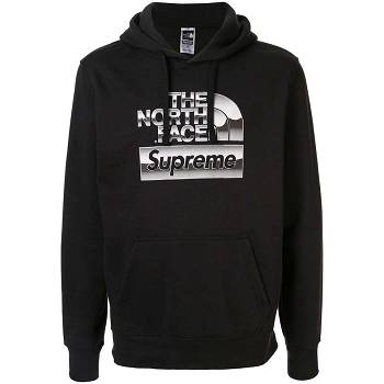 Supreme X The North Face lic Logo Met Capuchon Sweatshirts Metal | NL254IS